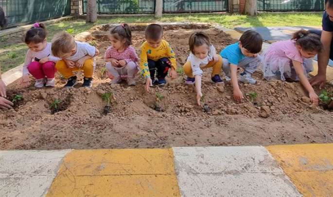 Minik eller ata tohumlarını toprakla buluşturdu