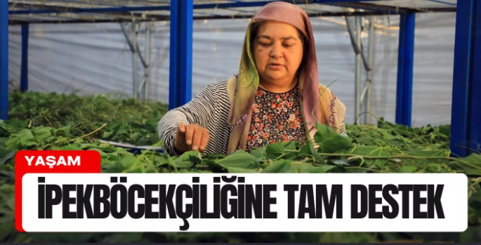 Muğla Büyükşehir’den ipekböcekçiliğine tam destek