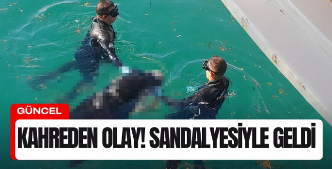 Muğla'da kahreden olay! Akülü sandalyesiyle geldi ...