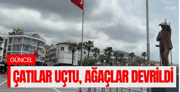 Muğla'da kuvvetli rüzgar! Çatılar uçtu, ağaçlar devrildi