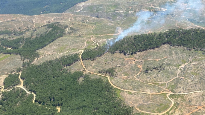 Mugla'da yine orman yangını 