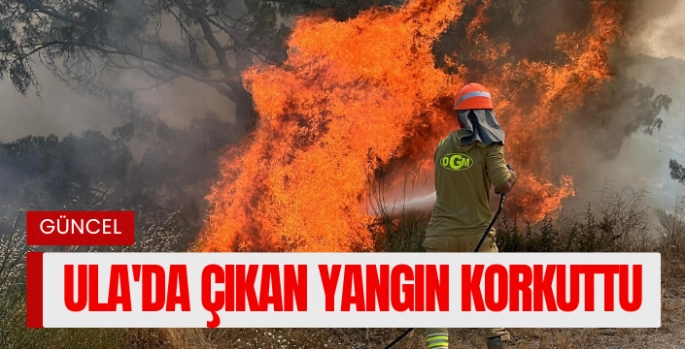 Muğla genelinde çıkan yangınlar korkuttu