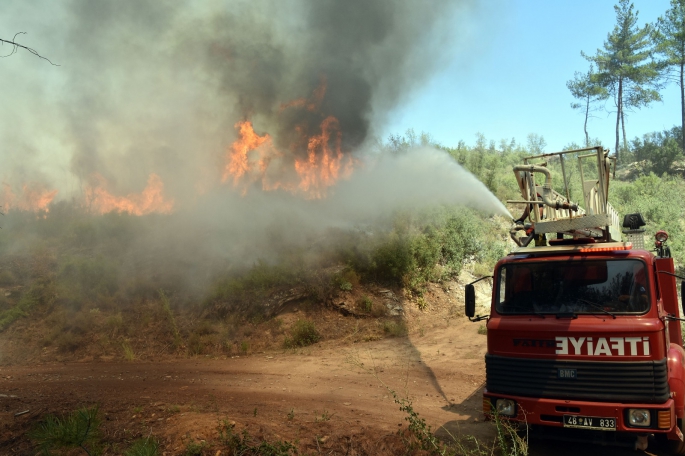 Muğla  orman yangının acı bilançosu açıklandı