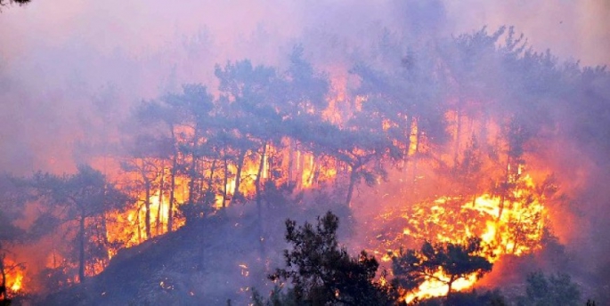 Orman yangınına 19 yıl