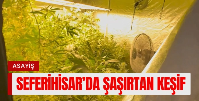Seferihisar'da Şaşırtan Keşif: Uyuşturucu Tarlası Villa