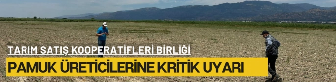 Pamuk Üreticilerine Kritik Uyarı