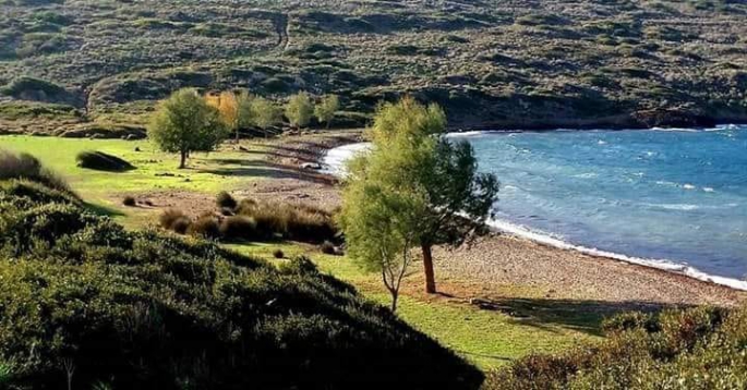 Ücretsiz plaj 'hassas alan' ilan edildi
