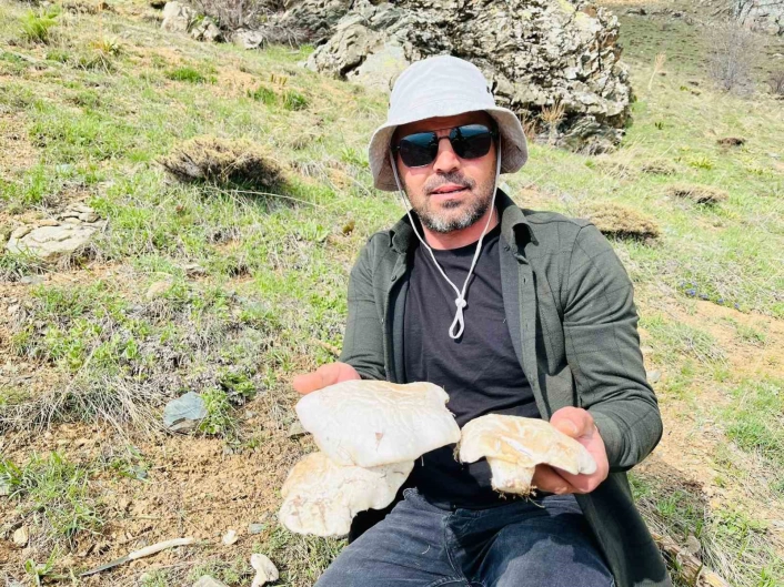 2 bin rakımın üzerinde yetişen mantarları topluyorlar
