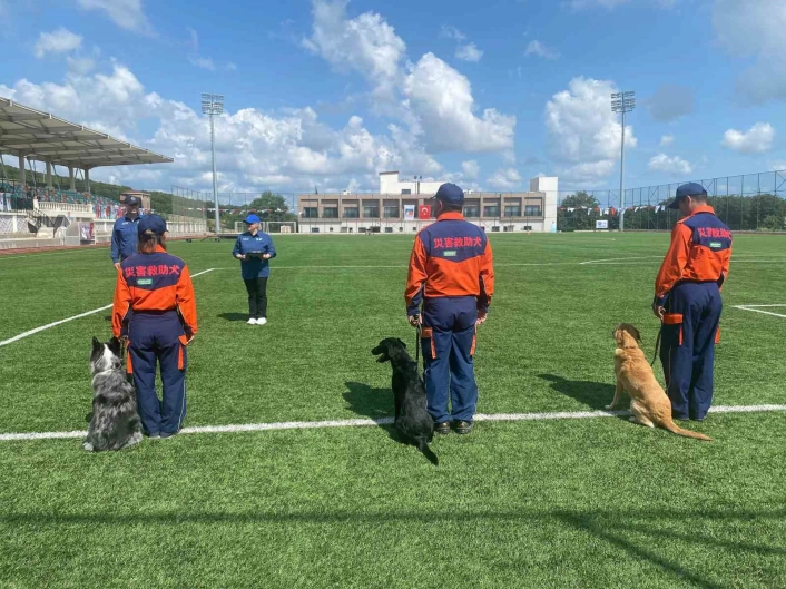 9 ülkeden 27 arama kurtarma köpeği İstanbuldaki şampiyonada yarıştı
