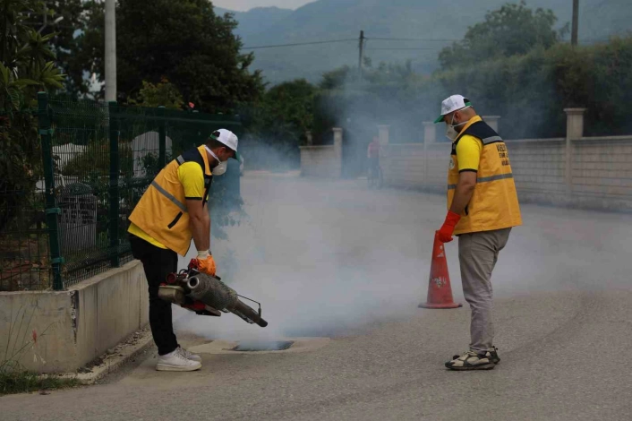 Akyazıda ilaçlama çalışmaları aralıksız devam ediyor
