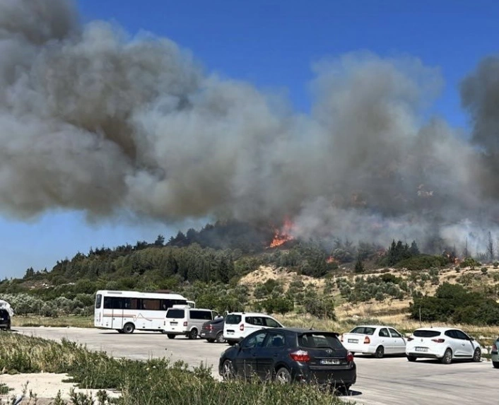 Aliağada bir orman yangını daha
