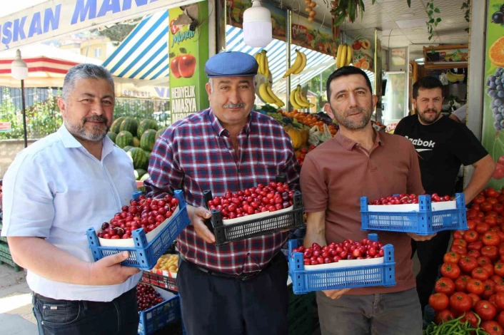Amasyada 60 yıldır yarışması yapılıyordu, şimdi bir tane bile kiraz yok
