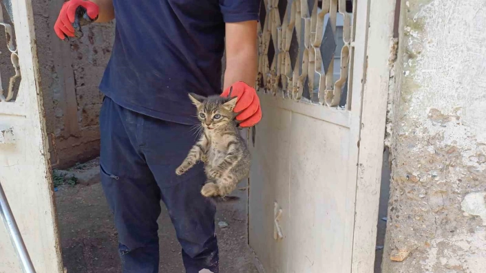 Aracın motoruna sıkışan yavru kedi kurtarıldı
