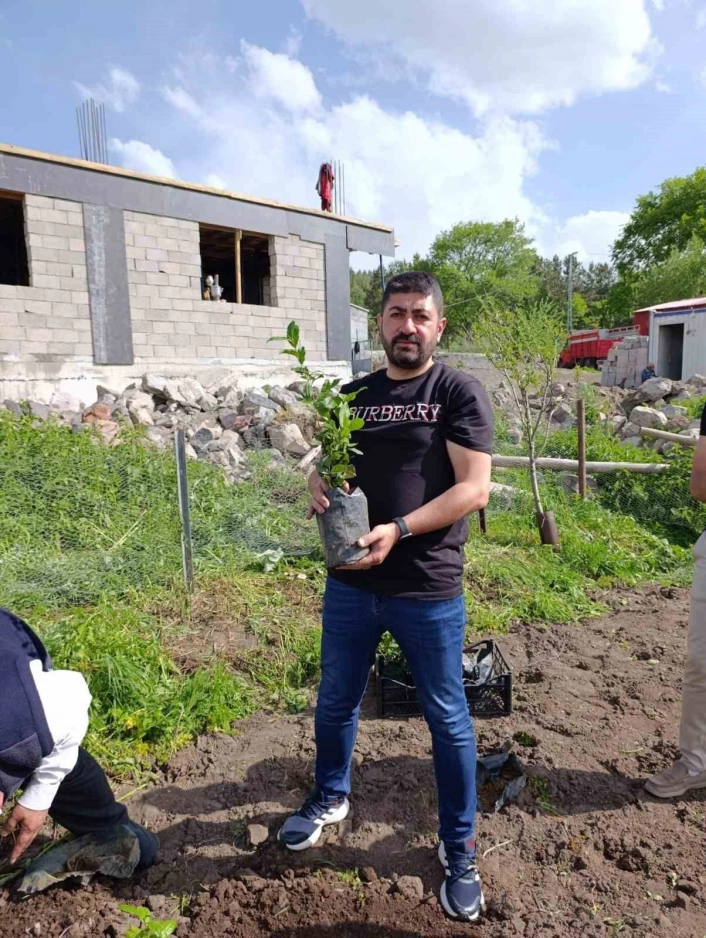 Ardahanda bir ilk; Çay kökleri toprakla buluştu
