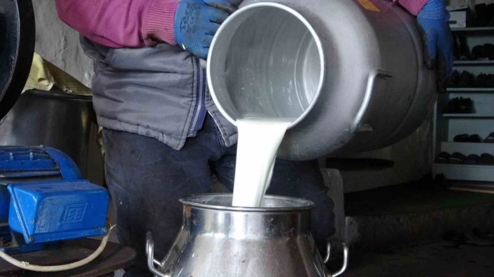 Ardahanda süt üreticileri düşük fiyatlardan şikâyetçi
