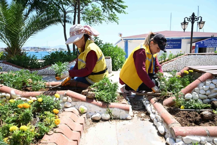 Aydın Büyükşehirin Didimde çalışmaları sürüyor
