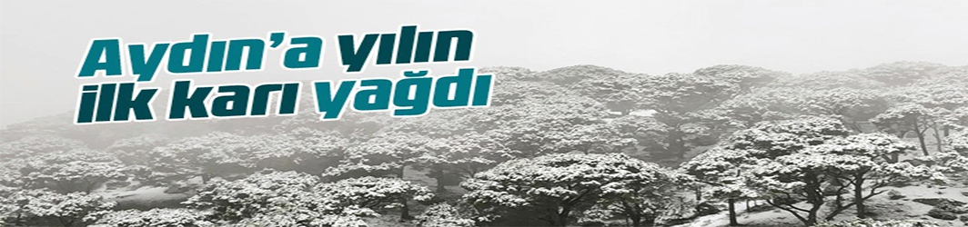Aydın'da yılın ilk karı Karacasu'ya yağdı