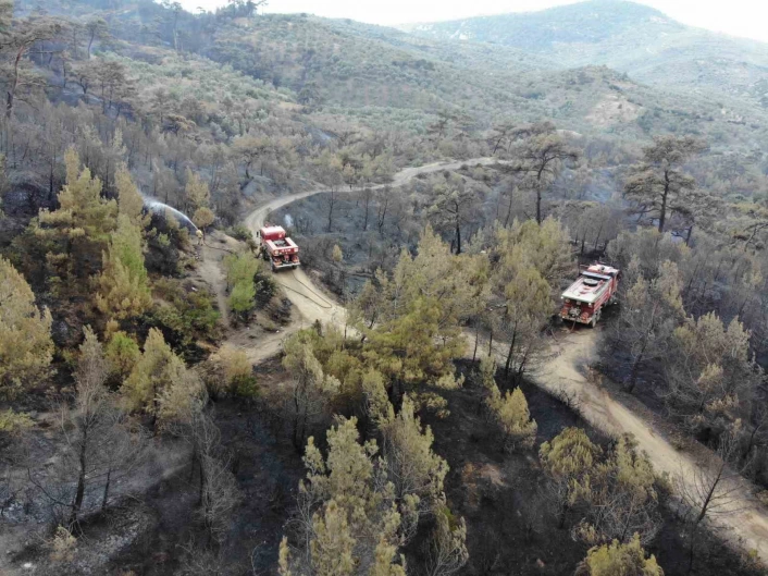 Balıkesir Havrandaki yangında havadan müdahale sabahın ilk ışıklarıyla tekrar başladı

