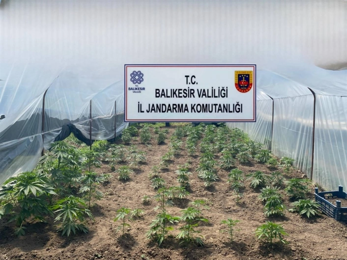 Balıkesirde jandarmadan organize suçlara karşı geniş çaplı operasyon
