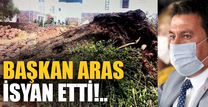 Başkan Aras isyan etti!..