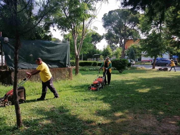 Başkan Çerçioğlundan Aydına yeşil dokunuş
