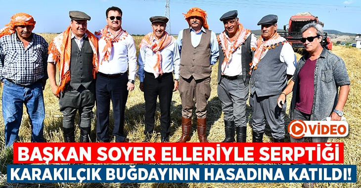 Başkan Soyer Menemen’de elleriyle serptiği karakılçık buğdayının hasadına katıldı