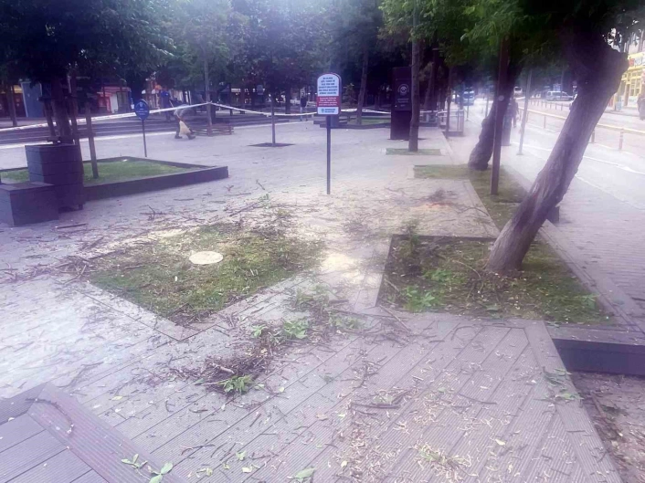 Başkan Vuraldan Hamamyolundaki ağaç kesimine tepki
