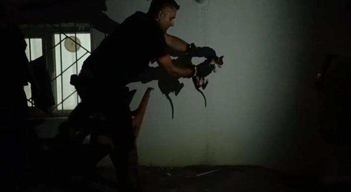 Batmanda lavabo borusuna sıkışan kediyi itfaiye kurtardı
