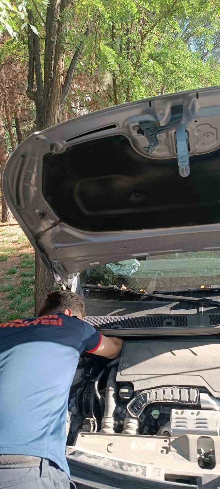 Batmanda otomobilin motoruna sıkışan kediyi itfaiye kurtardı
