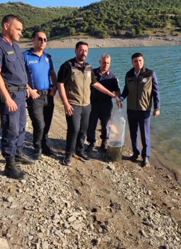 Bayatdaki gölet ve sulak alanlara 10 bin sazan balığı yavrusu bırakıldı
