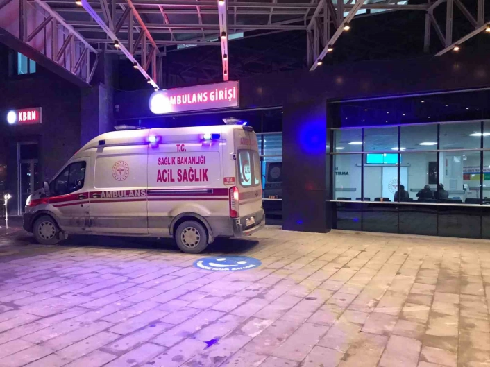 Bilecikte 186 acemi kasap hastanelik oldu
