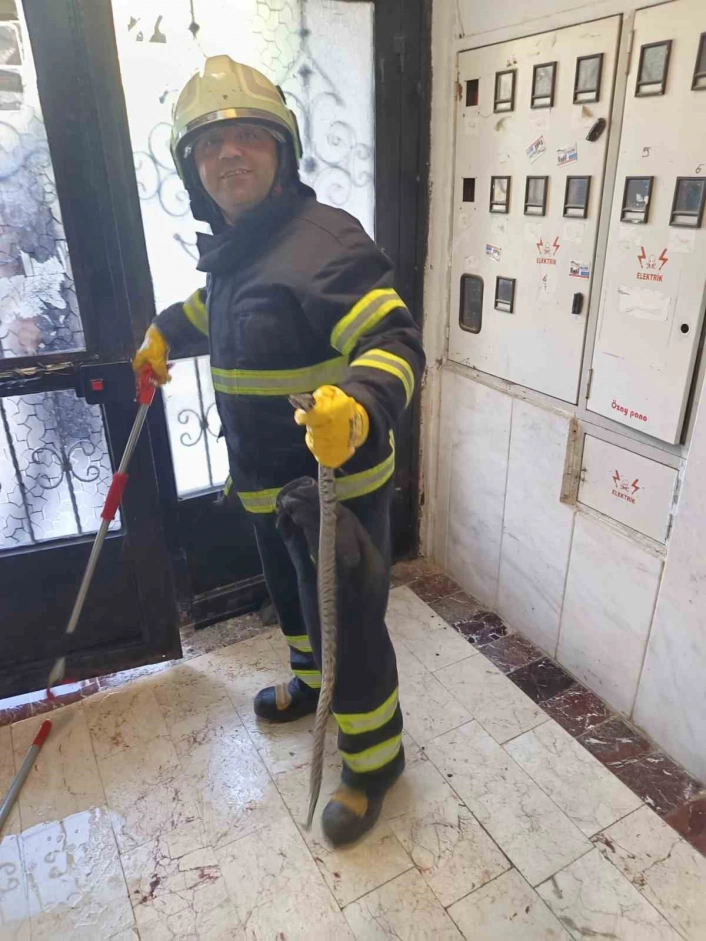 Bilecikte bir apartmana giren yılan itfaiye ekiplerince yakalandı
