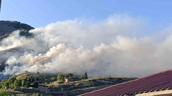 Bingölde ağaçlık alanda yangın
