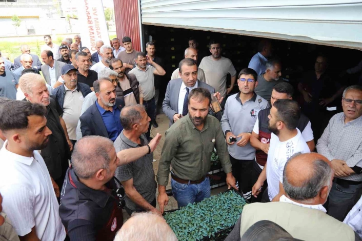 Bingölde üreticilere 442 bin sebze fidesi dağıtıldı
