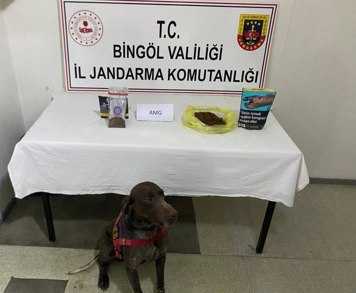 Bingölde yolcunun üzerinden bonzai çıktı
