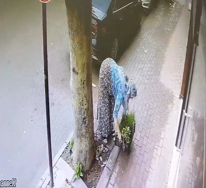 Bir kasa çiçeği böyle götürdü
