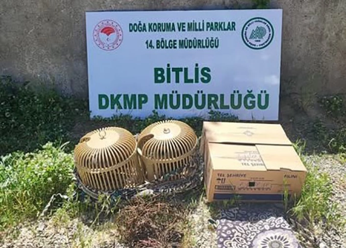 Bitliste kaçak keklik aylayan kişiye 63 bin TL idari para cezası uygulanacak
