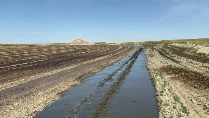 Biyogaz enerji üretimi yaparak atıklarını tarlaya döken firmalara 3 milyon TLye yakın idari para cezası kesildi
