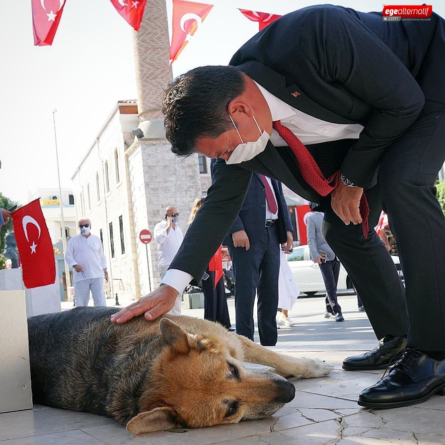 Bodrum Belediyesi'nden can dostlara jest, ‘Dost patiler eğitim ve oyun parkı' açıldı