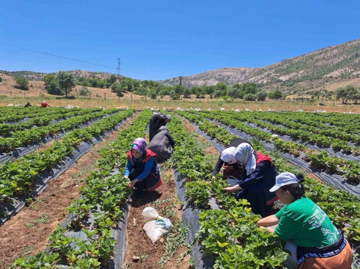 Bozkırda kadın çiftçilere yönelik eğitim ve destek ziyaretleri
