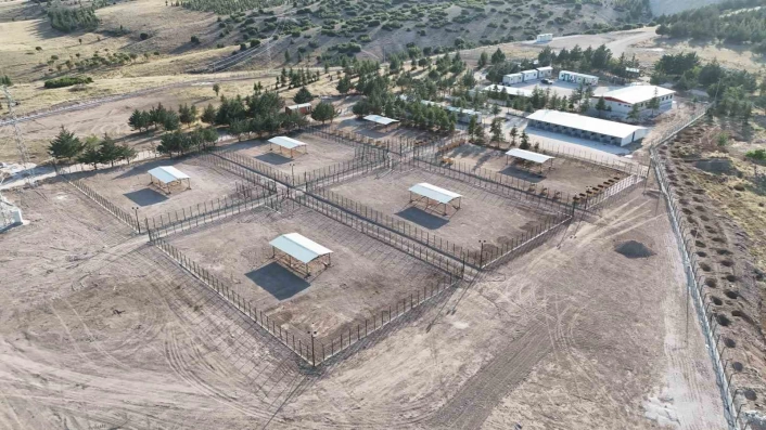 Burdurda sahipsiz hayvanlar için modern rehabilitasyon ve doğal yaşam tesisi açıldı
