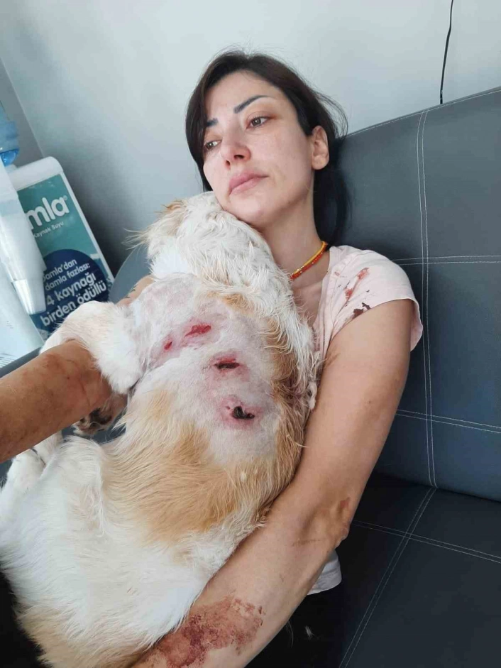Bursada kangal dehşeti...O anlar kamerada
