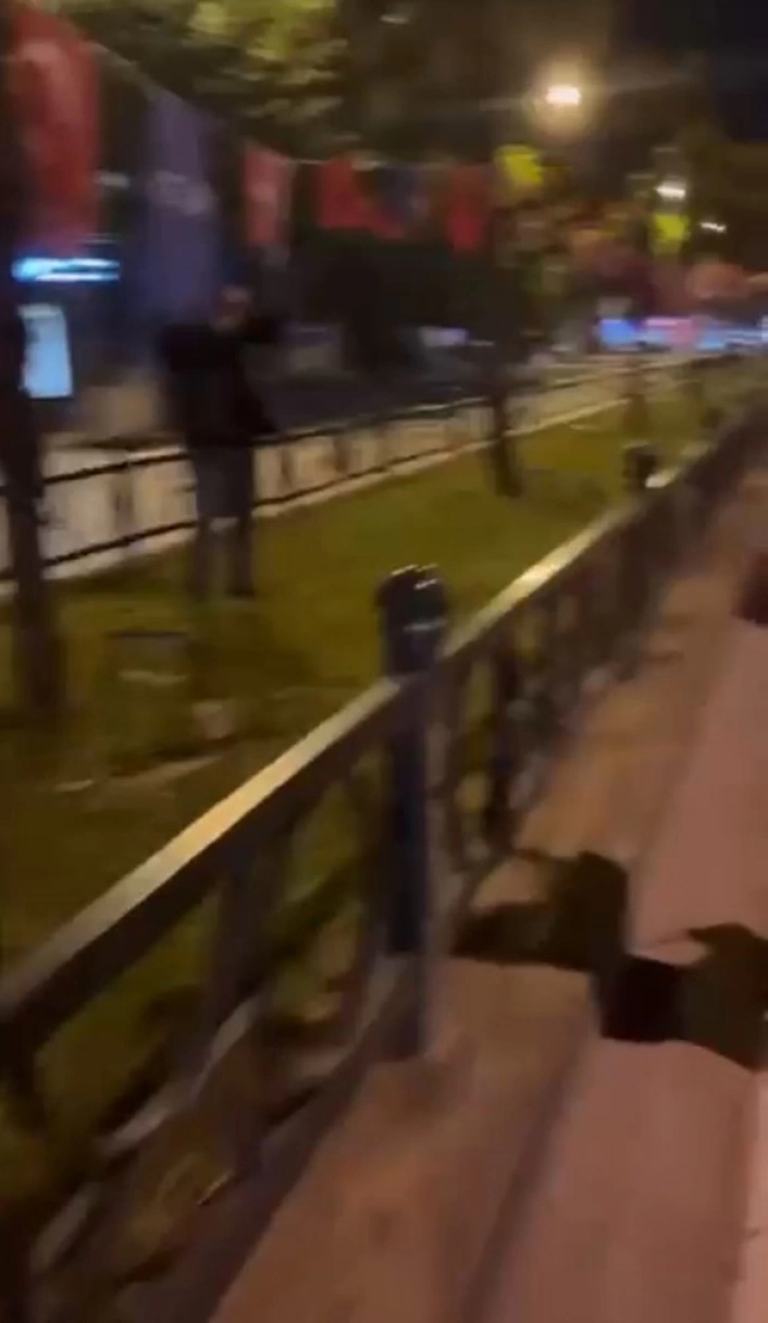 Bursada Türk bayrağını yakmaya çalışan şahıs yakalandı
