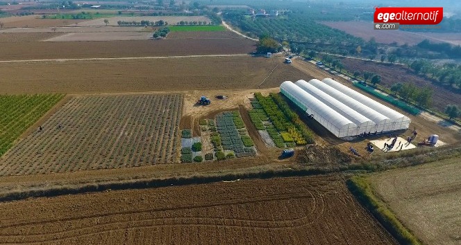 Büyükşehirden ‘Akıllı Tarım' çiftliği