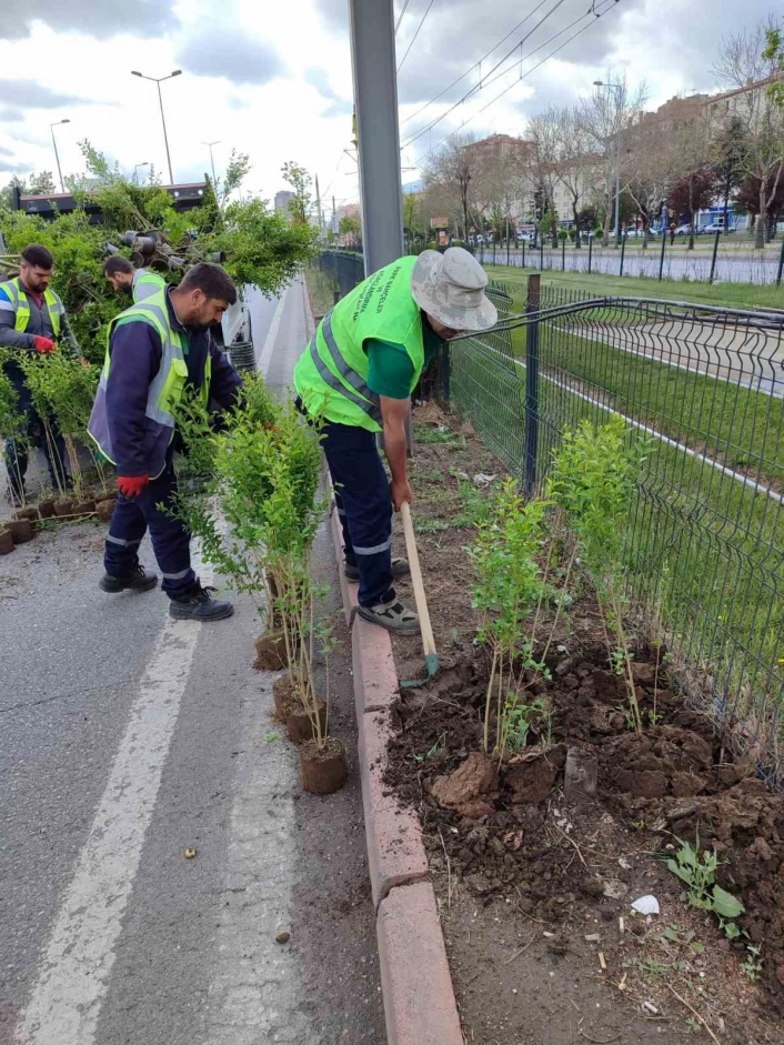 Büyükşehirden doğa dostu hizmetler

