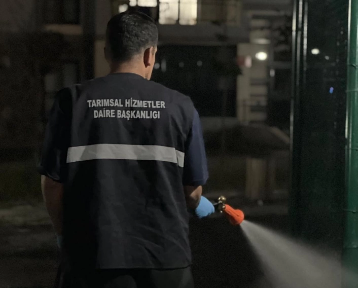 Büyükşehirden ilaçlama atağı
