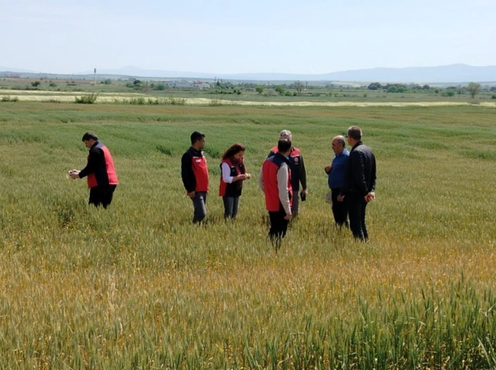 Çanakkalede üreticilerin ekili dikili alanlarında saha incelemesi yapıldı
