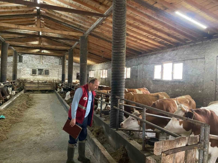 Çarşambada şap hastalığı taraması
