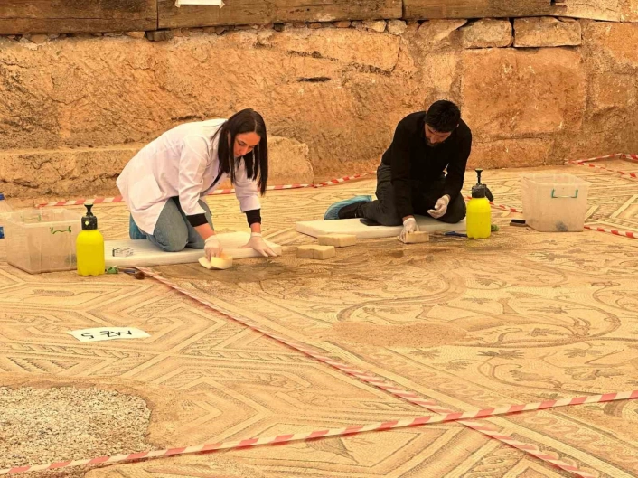Cennet Bahçesi mozaiğinde restorasyon ve konservasyon başladı
