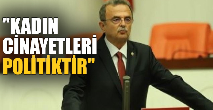 CHP'li Girgin: İktidar kadın cinayetlerinin önlenmesinde üzerine düşeni yapmıyor